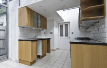Whiteabbey kitchen extension leads